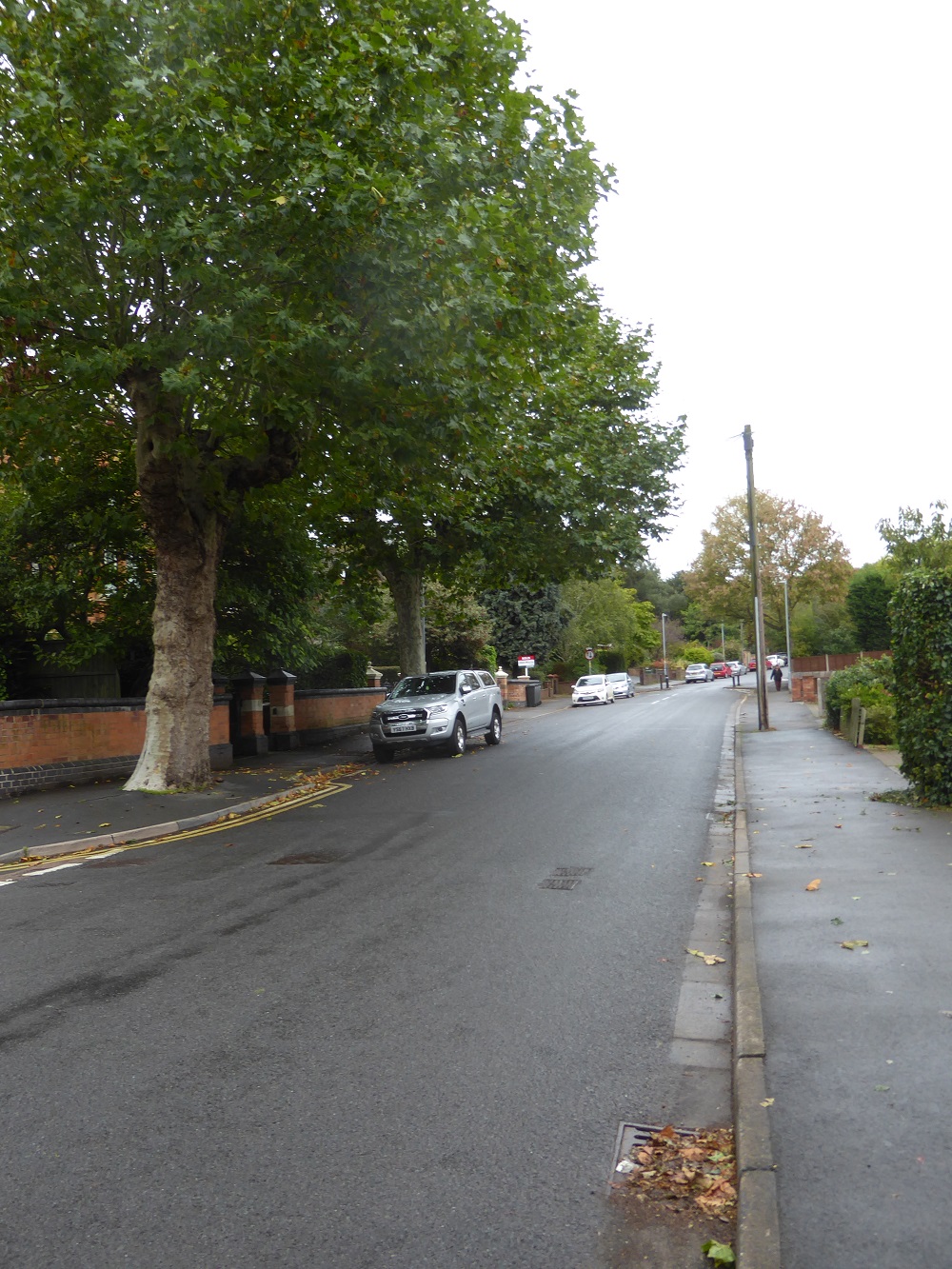 Call for traffic calming rethink to stop drivers speeding along residential road